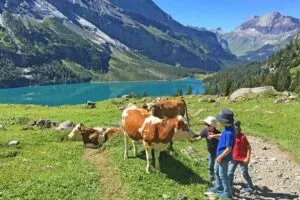 Switzerland with kids