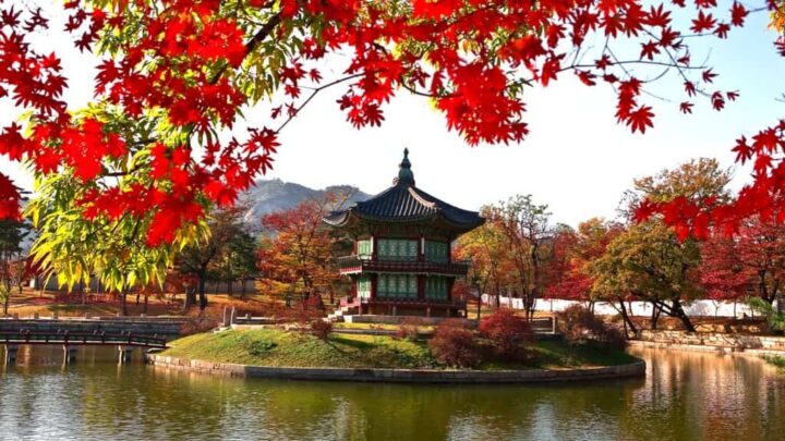 Seoul for kids – Everything you need to know and see with kids