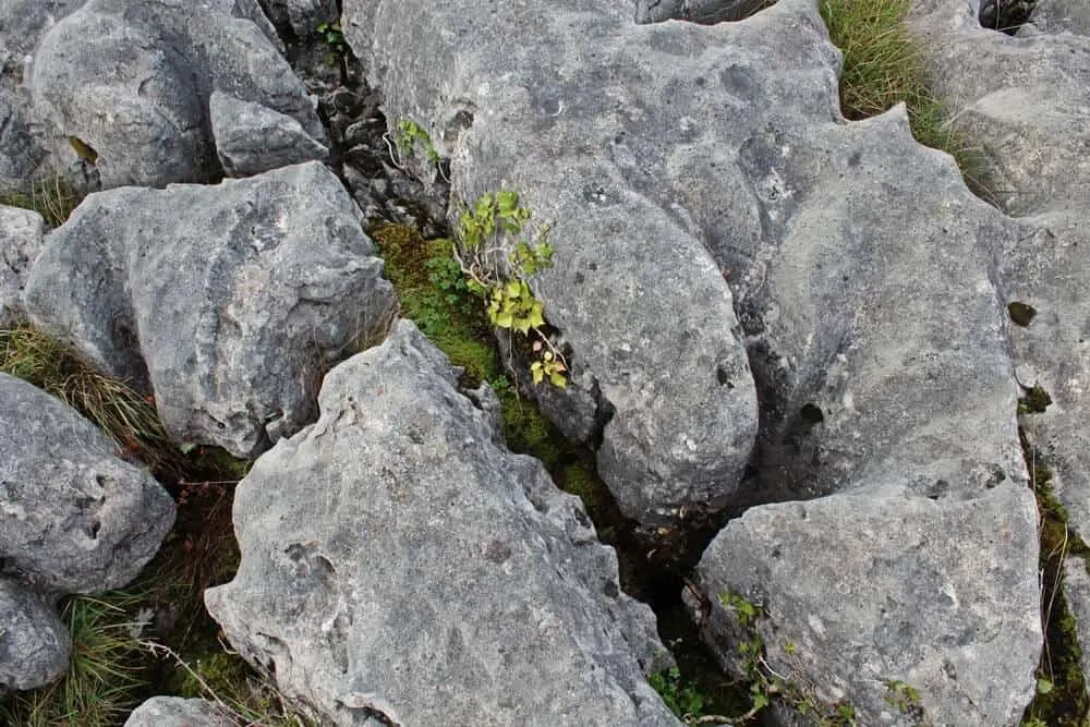 Ther Burren karst landscape