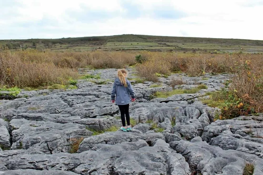 The Burren, Co. Clare, Ireland.