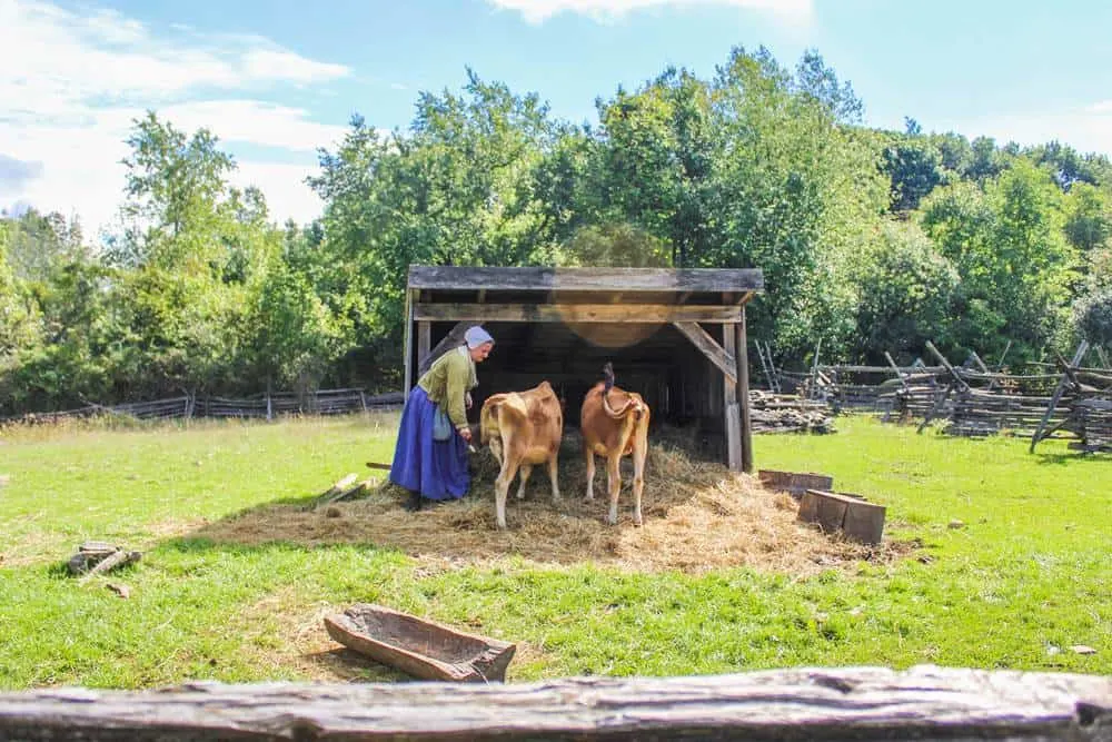 Visit the Genesee Country Village and museum is the largest living history museum in New York state.