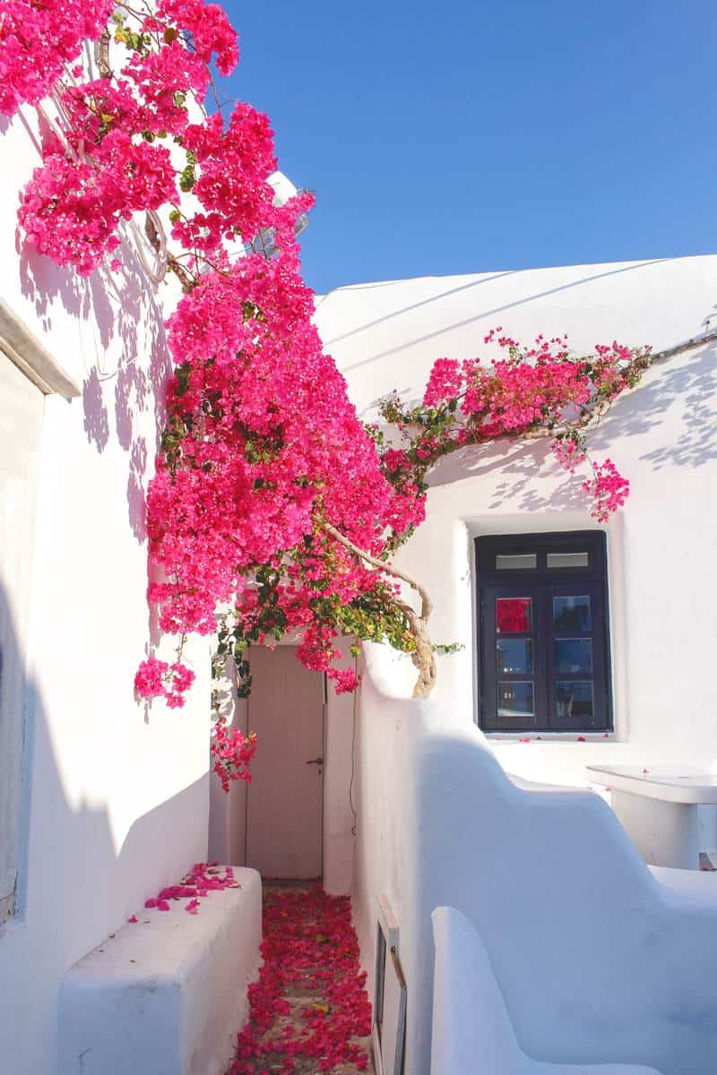 Mykonos, couple travel to Greece