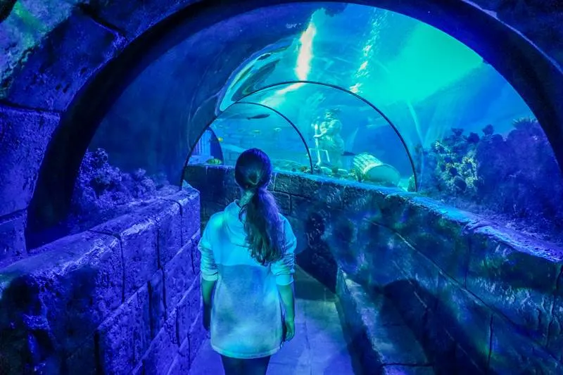 Sealife Porto Portugal underwater tunnel