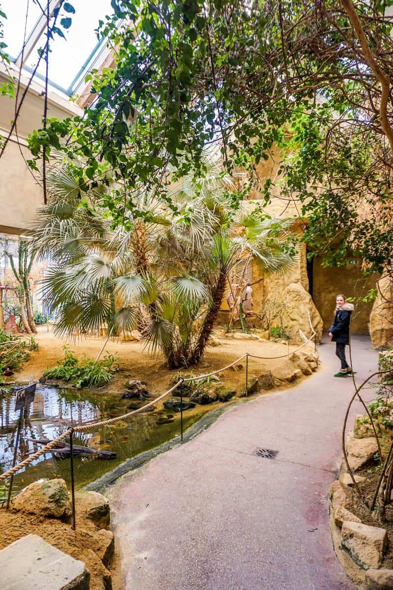 Tiergarten Schönbrunn zoo