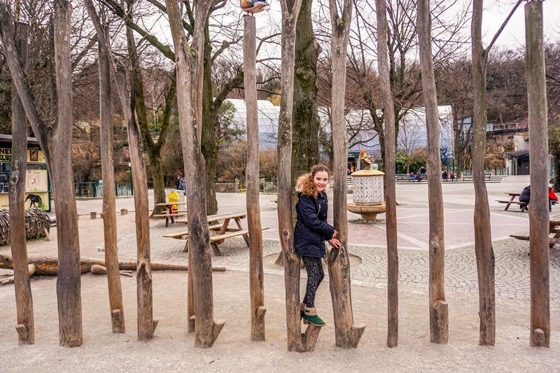 Vienna zoo with kids