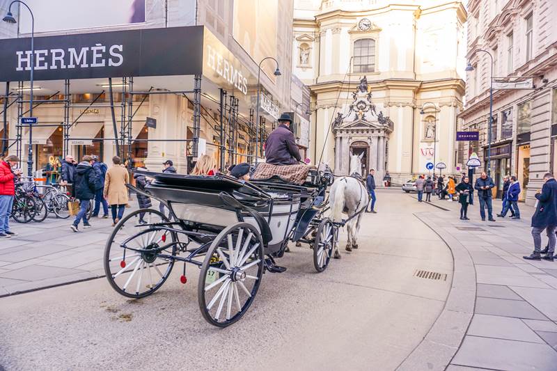 Vienna horse and carriage tour