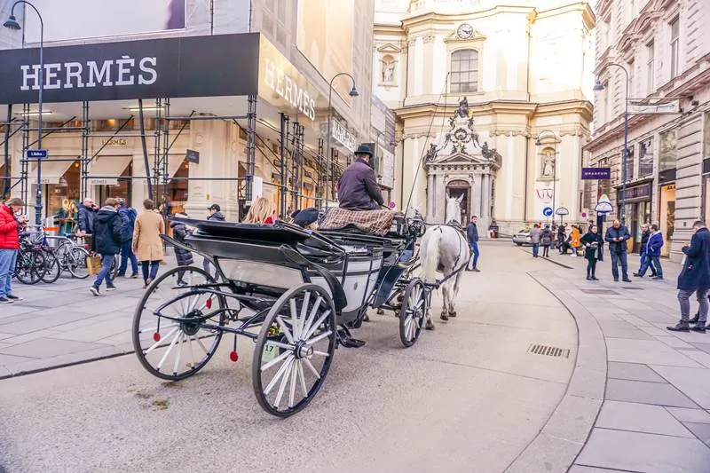Vienna horse and carriage tour