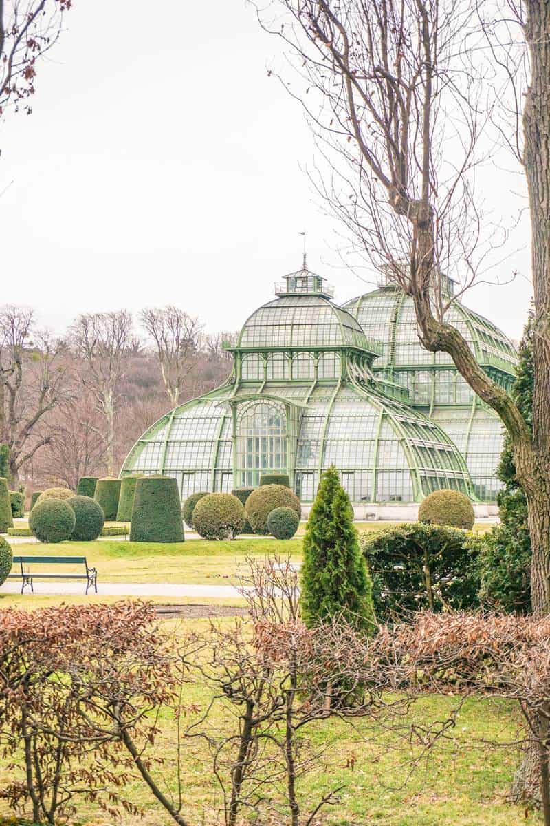 The great palm house