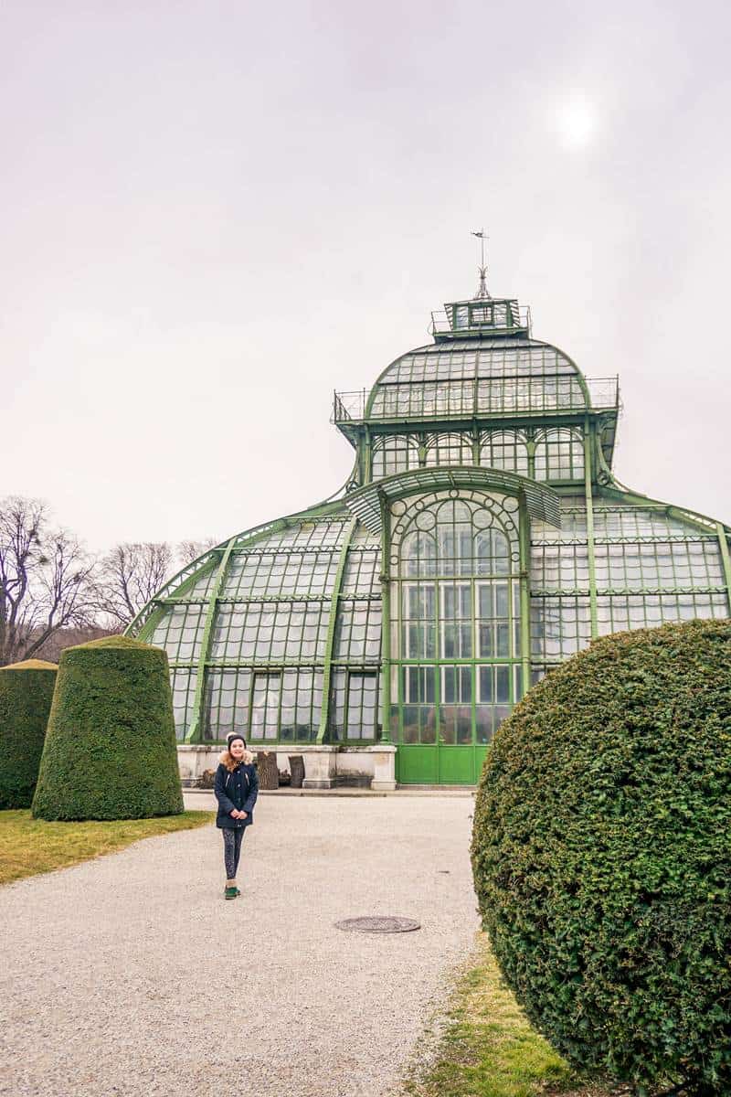 The palm house