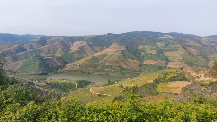 Douro Valley Road Trip – Absolutely Wonderful!