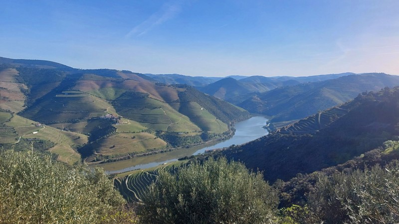 Douro Valley Road Trip