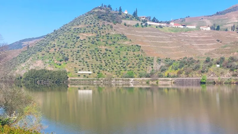 Beautiful Quinta along the Douro Valley