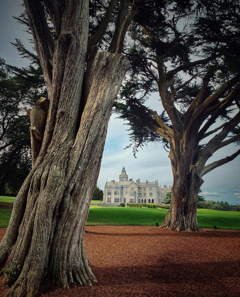 Historic castle framed by ancient trees and lush green landscape under a cloudy sky.
