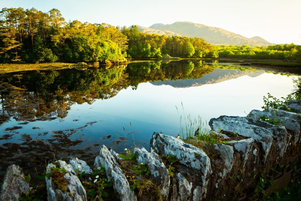 Tranquil lake reflects lush green forest and mountains under clear sky, with stone wall in foreground.