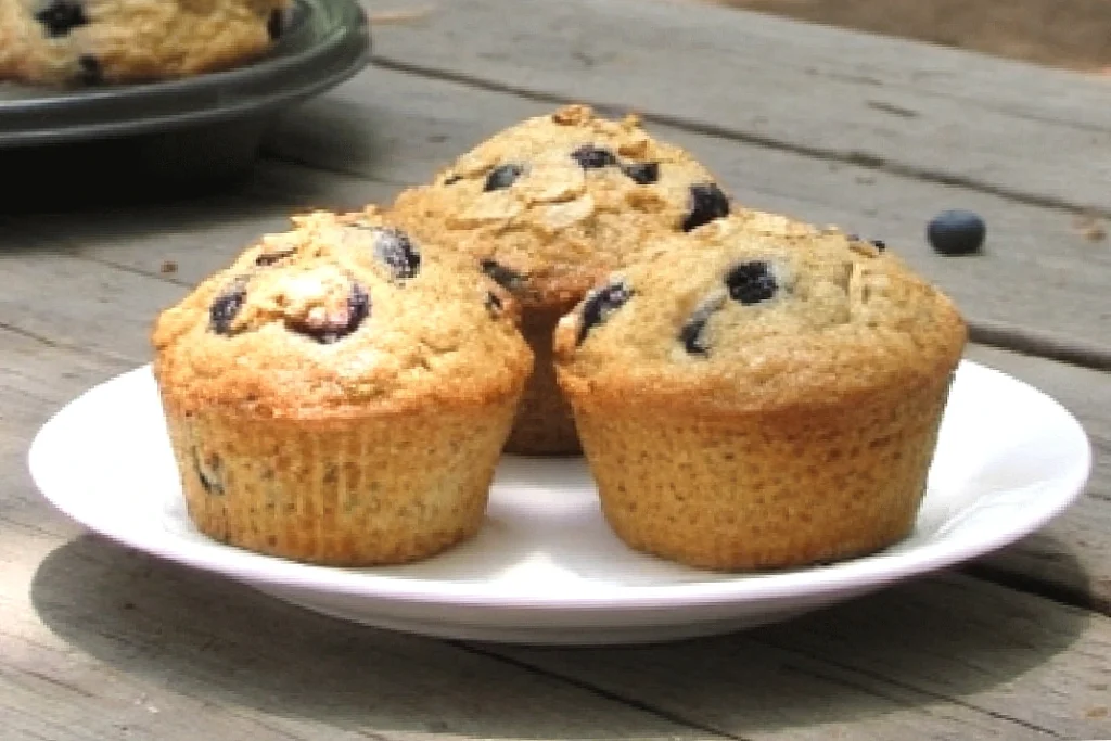 Freshly baked blueberry muffins on a white plate outdoors.