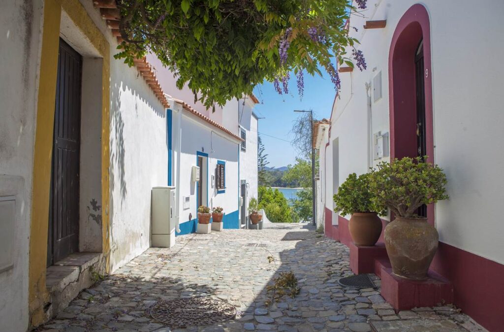 Quaint Mediterranean alley with colorful houses, cobblestone path, and lush greenery under sunny skies.