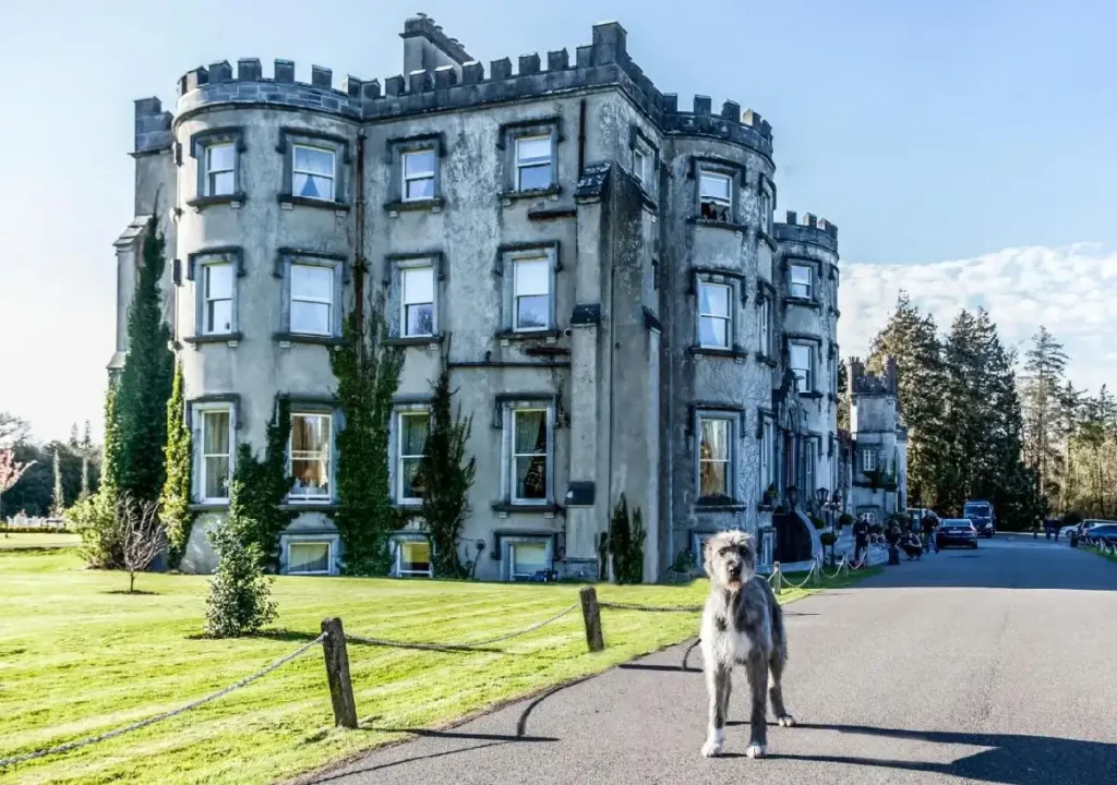 Historic castle exterior with a large dog in the foreground, surrounded by lush greenery and a clear blue sky.