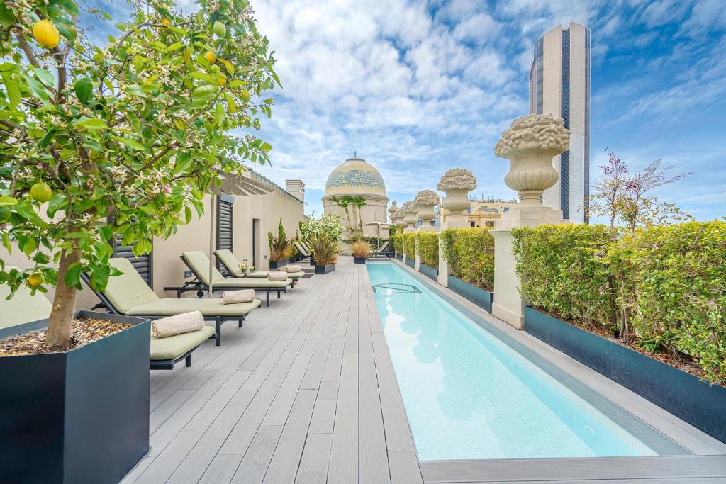Rooftop pool area with lounge chairs, greenery, and decorative planters under a blue sky. Perfect for relaxation.