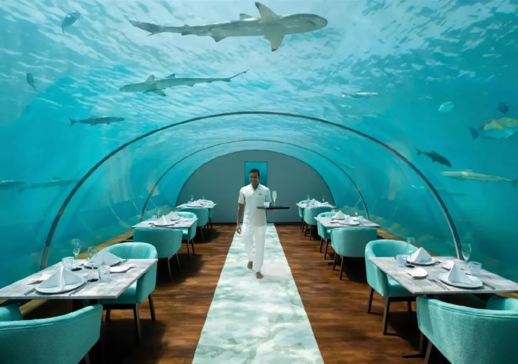 Underwater restaurant with a waiter and swimming sharks in a stunning aquatic setting. Unique dining experience.