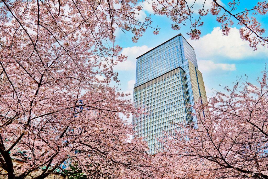 Cherry blossom trees frame a modern skyscraper against a blue sky, showcasing spring's beauty in an urban setting.