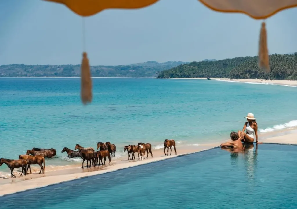 A couple relaxes by the pool as wild horses stroll along the sandy beach under clear blue skies.