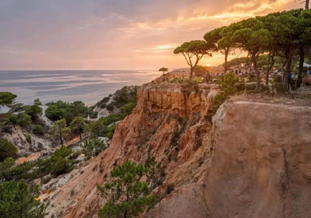 Sunset view from a cliff overlooking the sea, surrounded by pine trees and a tranquil coastal landscape.