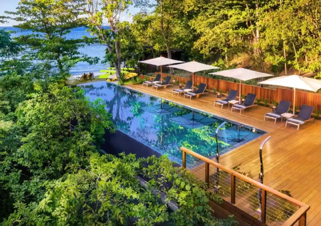 Stunning infinity pool surrounded by lush greenery, with sun loungers and ocean views for a relaxing getaway.