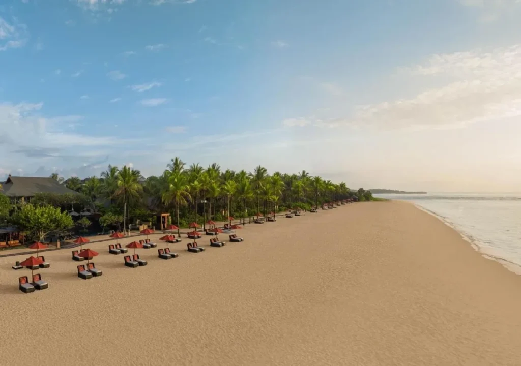 Serene beach view with sun loungers and palm trees under a clear sky, perfect for relaxation and escape.