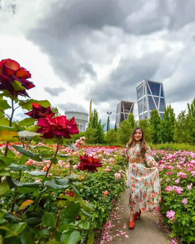 Woman in a floral dress stands amidst vibrant rose gardens with modern buildings in the background under a cloudy sky.