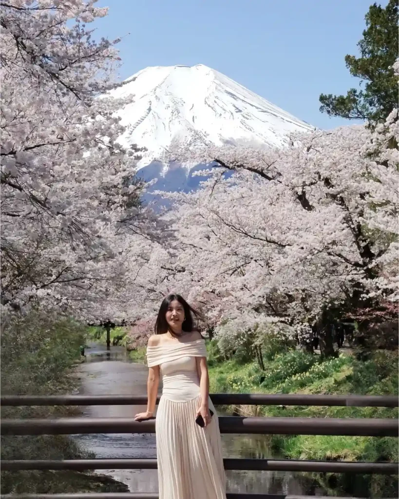 A woman in a flowing dress stands by a bridge, surrounded by cherry blossoms with Mount Fuji in the background.