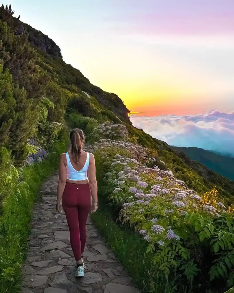 Hiker walking along a scenic mountain path at sunset, surrounded by vibrant flowers and lush greenery.