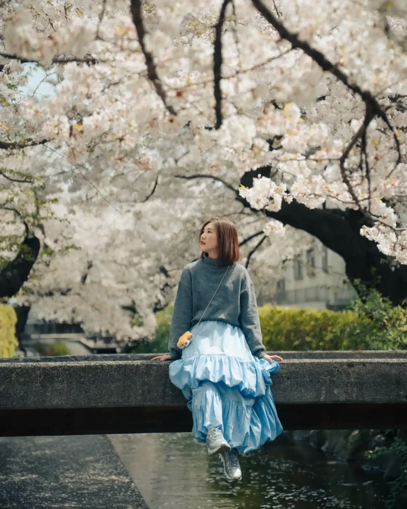 Woman in a cozy sweater and layered blue skirt sits on a stone bridge surrounded by cherry blossoms, reflecting serene beauty.