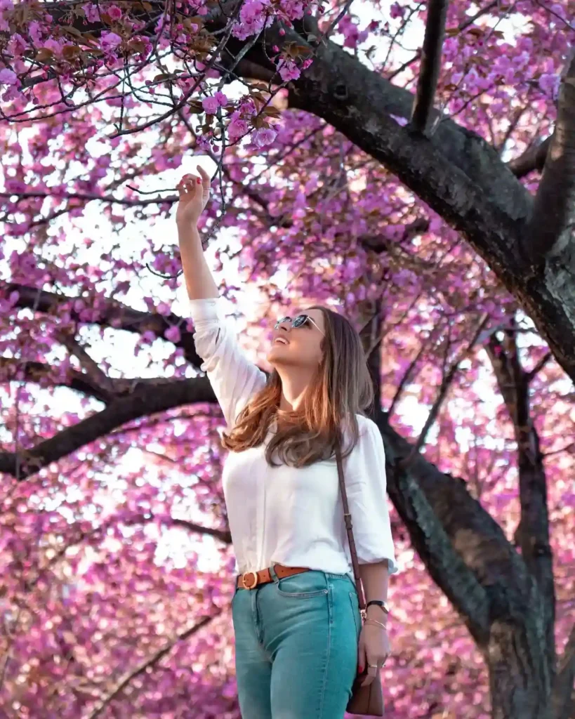 Woman in sunglasses reaches for cherry blossoms under vibrant pink trees, enjoying a sunny spring day outdoors.