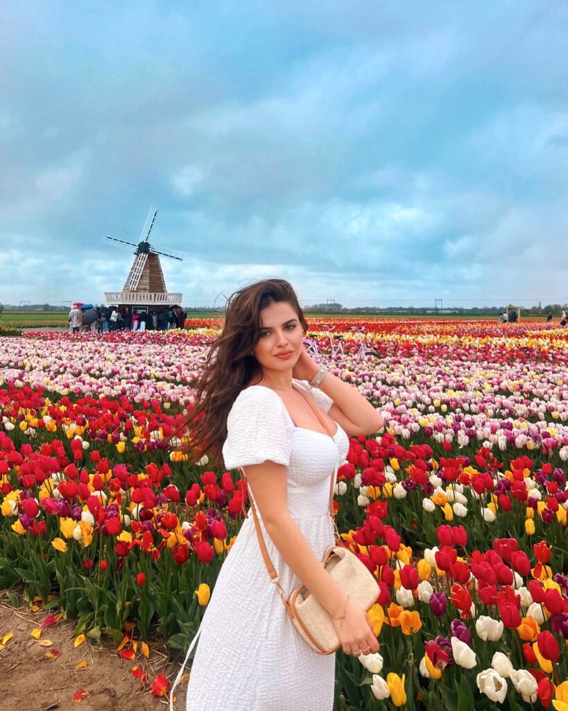 A young woman in a white dress poses in a vibrant tulip field with a windmill in the background.