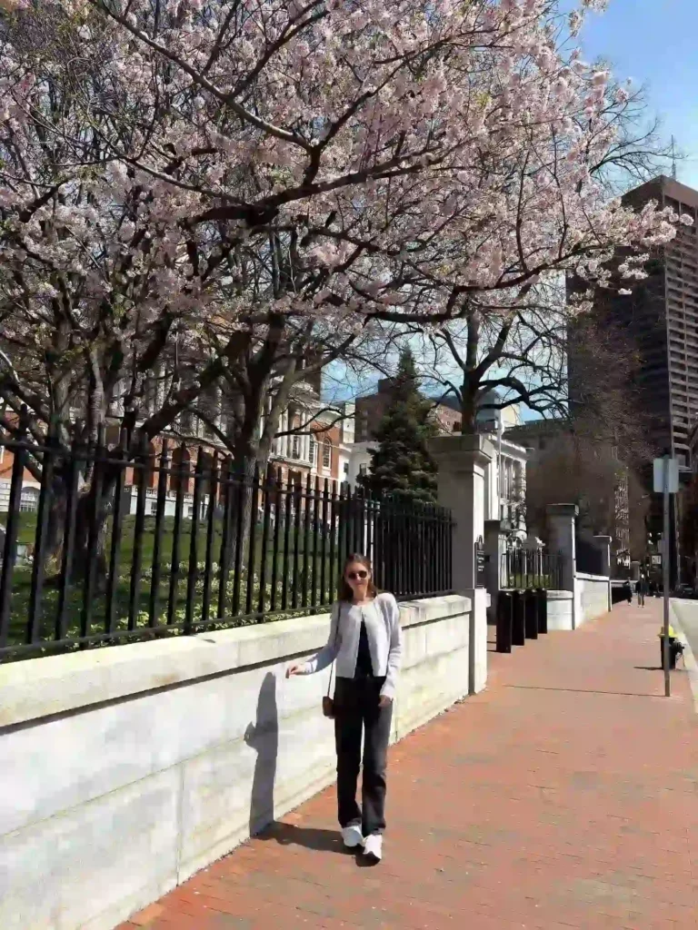 Young woman in stylish outfit walking by blooming cherry blossom trees in a city park on a sunny day.