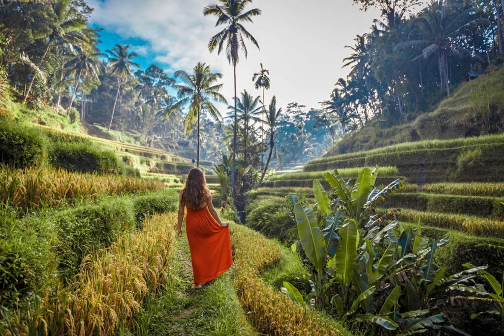 Woman in a red dress walks through lush green rice terraces surrounded by palm trees.