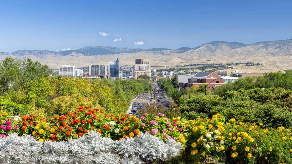 City skyline with colorful flowers in the foreground, mountains in the background under a clear blue sky.