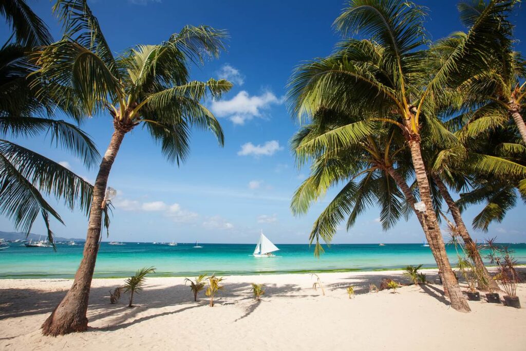 Tropical beach with palm trees and sailboat on turquoise waters under a blue sky.