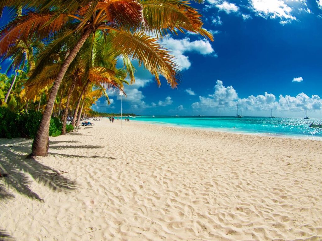 Tropical beach with palm trees and turquoise sea under clear blue sky, ideal for relaxation and vacation.