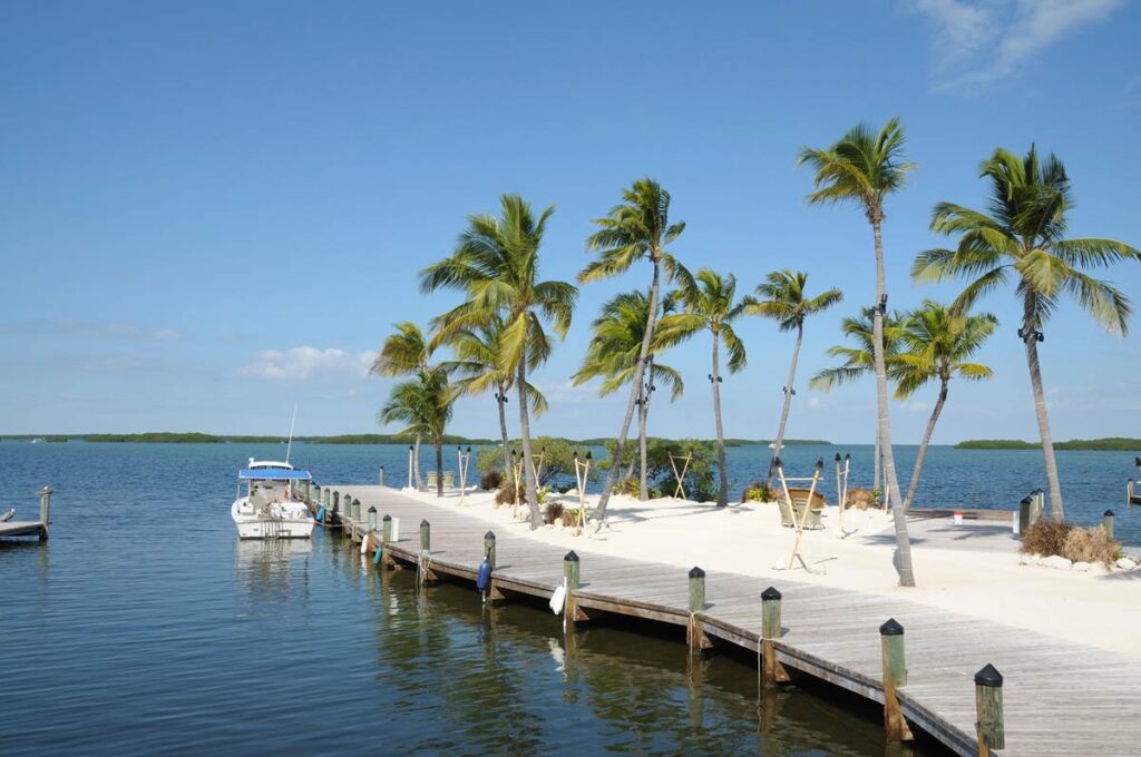 Tropical dock with palm trees and a boat, overlooking a serene ocean under a clear blue sky.