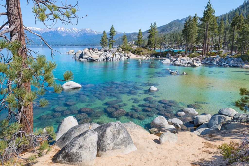 Crystal-clear Lake Tahoe with rocks and pine trees, framed by snow-capped mountains under a clear blue sky.
