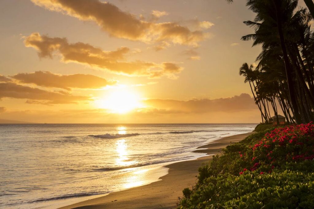 Sunset over a tranquil beach with palm trees and vibrant flowers, casting golden hues across the ocean waves.