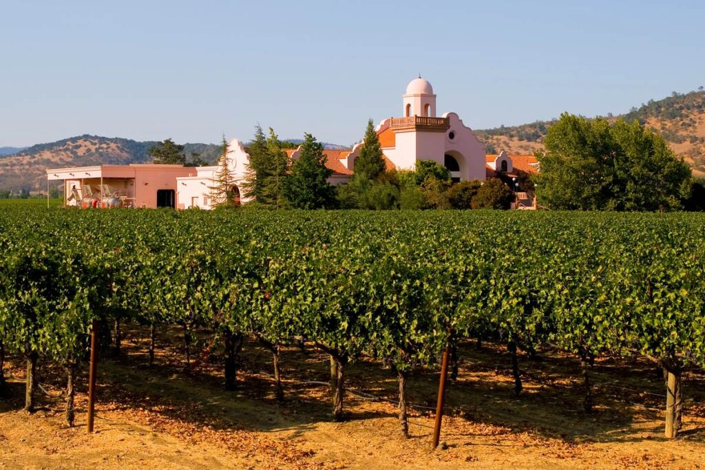 Vineyard with scenic winery building and lush green vines under a clear sky in a hilly landscape.