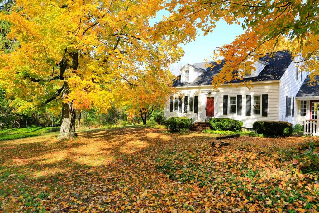 Charming white house with red door surrounded by vibrant autumn leaves and golden trees in a sunlit yard.