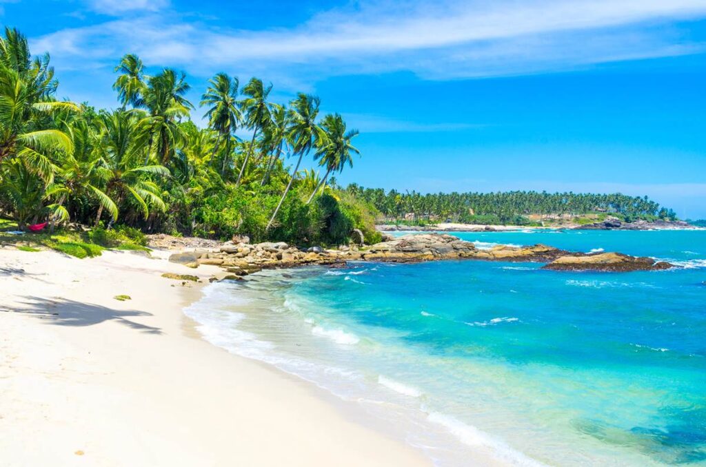 Tropical beach with palm trees, white sand, and turquoise ocean under a sunny blue sky. Perfect summer vacation scene.